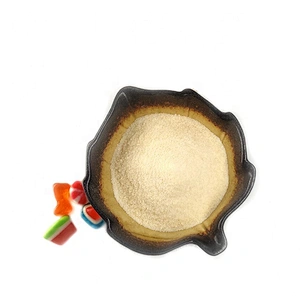 Food Additive Gelatin Halal Edible Bovine Gelatin with best Price