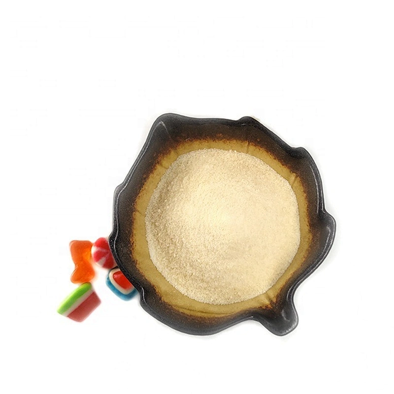 Food Additive Gelatin Halal Edible Bovine Gelatin with best Price